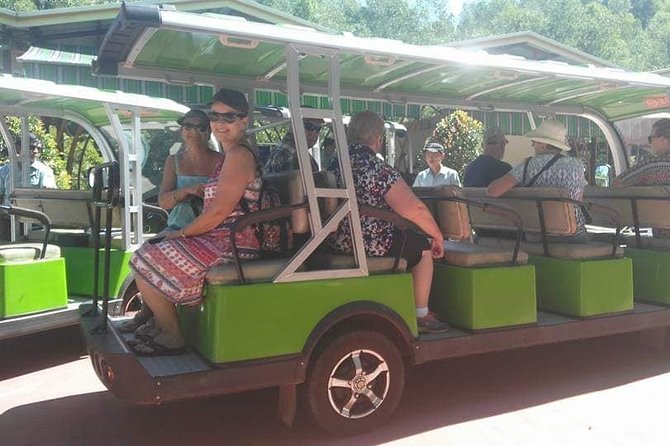 My Son Holyland-Authentic Lunch-Hoi an City With Riverboat Ride