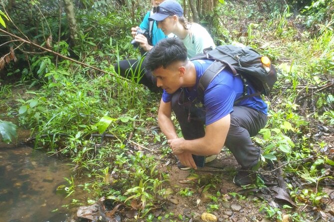 My Son Sanctuary and Mountain Trekking