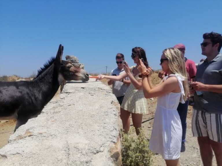 Mykonos: Highlights Tour With Panagia Tourliani Monastery