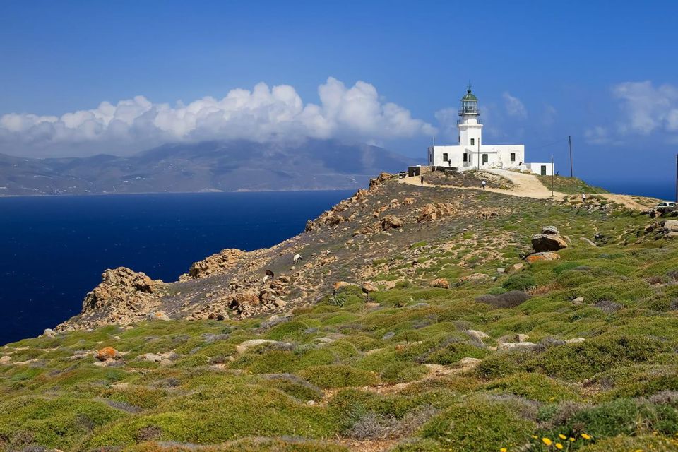 1 mykonos private tour island with a local Mykonos: Private Tour Island With A Local