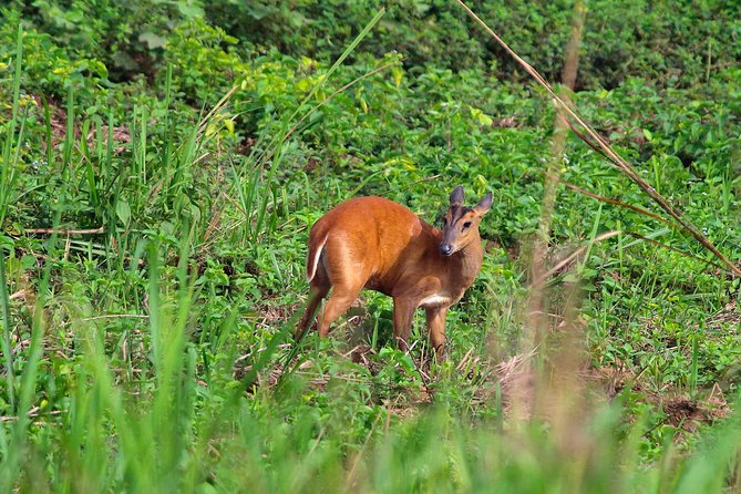 Nam Cat Tien National Park 2-Day Tour With Lodging, Meals..