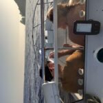 1 naples gulf of naples sorrento capri private boat tour Naples: Gulf of Naples, Sorrento & Capri Private Boat Tour