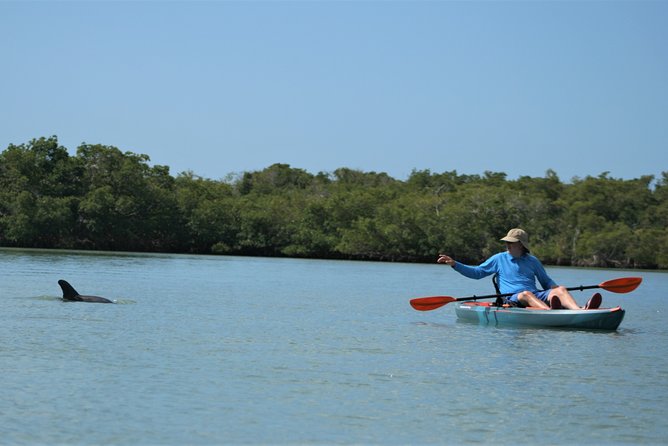 Naples Kayak Rentals at Cocohatchee River Park Marina