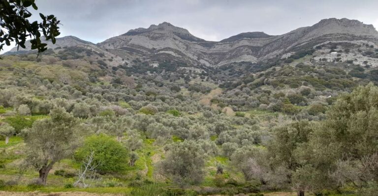 Naxos: Countryside Hike Among Villages & Byzantine Churches