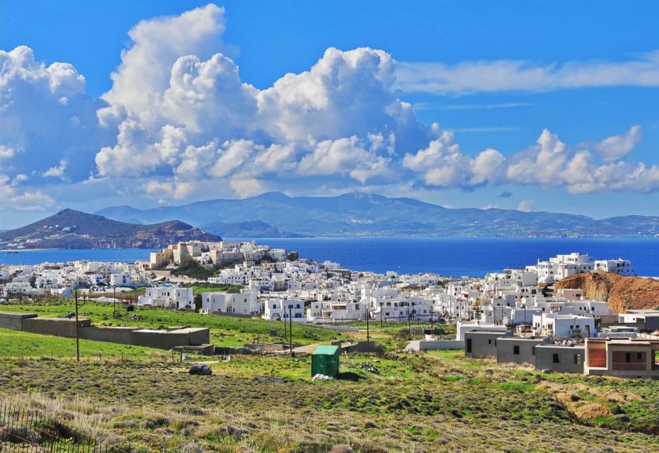 1 naxos highlights with tastings Naxos Highlights With Tastings