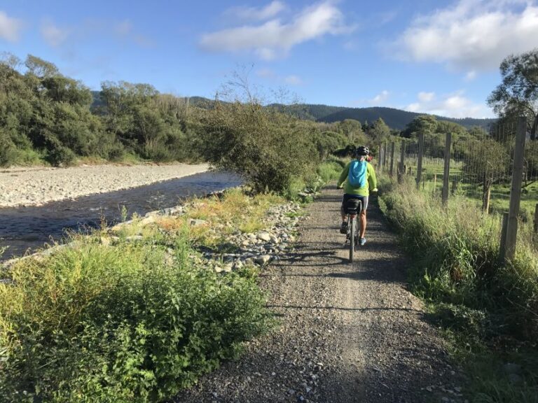 Nelson: Self-Guided Tunnel to Town Cycling Tour via Mapua