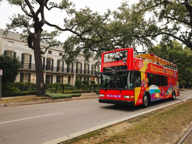 New Orleans: 2 & 3 Days Hop-On Hop-Off Bus With Walking Tour