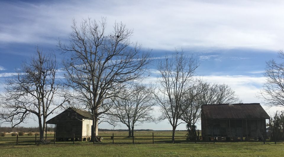 New Orleans: Laura Creole Plantation Guided Tour - Experience Highlights