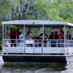 1 new orleans swamp tour on covered pontoon boat New Orleans: Swamp Tour on Covered Pontoon Boat
