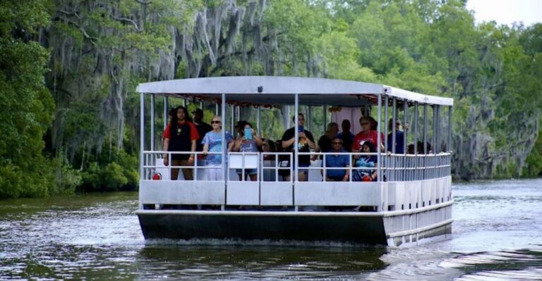 New Orleans: Swamp Tour on Covered Pontoon Boat