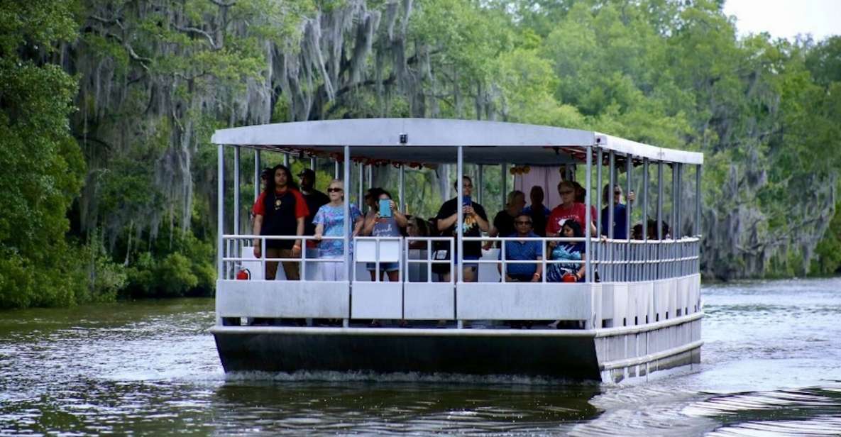 New Orleans: Swamp Tour On Covered Pontoon Boat