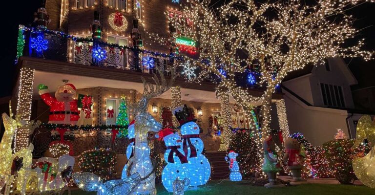 New York: French Magical Christmas Lights Tour in Brooklyn