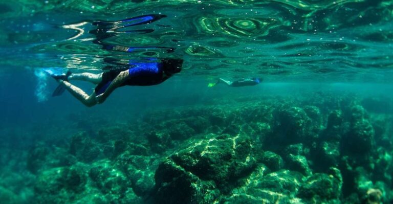 Nice: Speedboat Day Trip With Snorkeling in Villefranche Bay