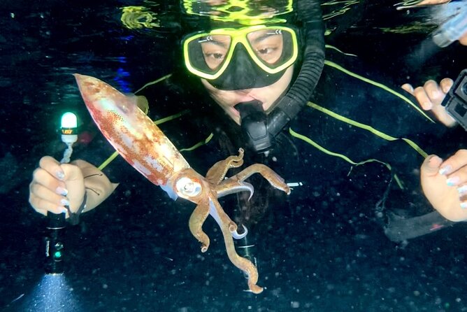 Night Snorkeling – Observation of Octopus and Other Species