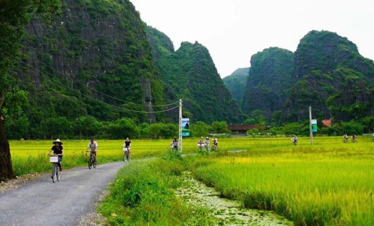 Ninh Binh Tour to Hoa Lu Tam Coc, Boat, Buffet, Cycling