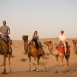 1 non touristic overnight camel safari with stargazing hidden tour in desert Non-Touristic Overnight Camel Safari With Stargazing Hidden Tour in Desert
