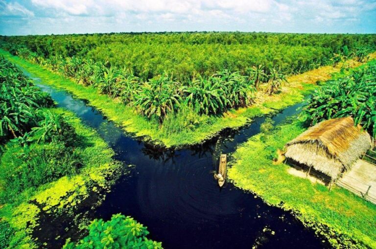 Non-Touristy Mekong Delta With Biking Local Experience