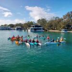 1 noosa river mangroves and mansions guided kayak tour Noosa River: Mangroves and Mansions Guided Kayak Tour