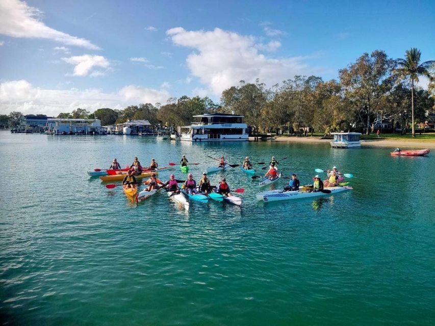 1 noosa river mangroves and mansions guided kayak tour Noosa River: Mangroves and Mansions Guided Kayak Tour