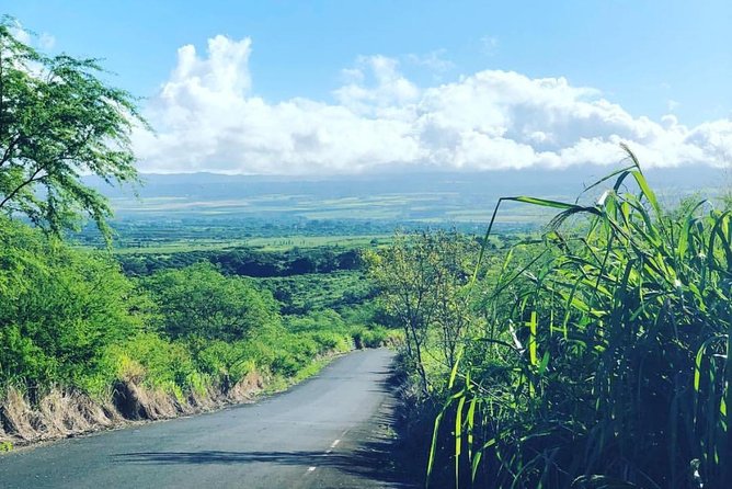 North Shore Tour Guide Hike