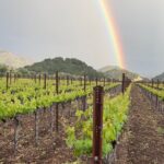 1 northern california private full day wine tour napa sonoma Northern California Private Full-Day Wine Tour - Napa & Sonoma