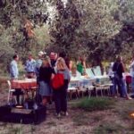 1 noto organic farm tour and lunch or dinner sicily Noto Organic Farm Tour and Lunch or Dinner - Sicily