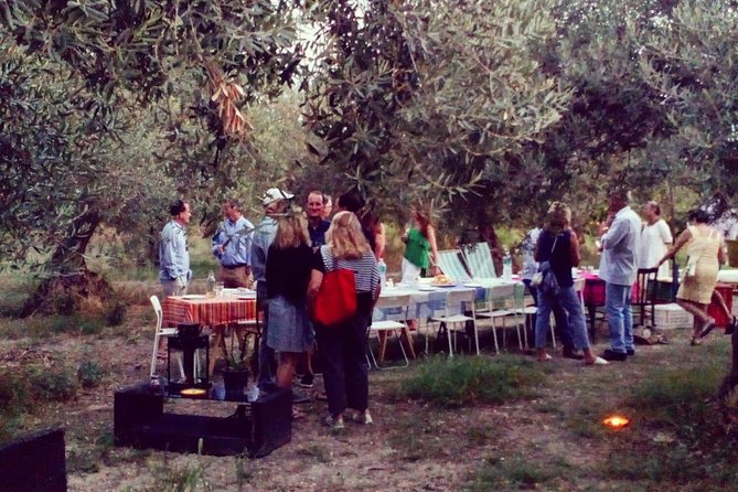 Noto Organic Farm Tour and Lunch or Dinner  – Sicily
