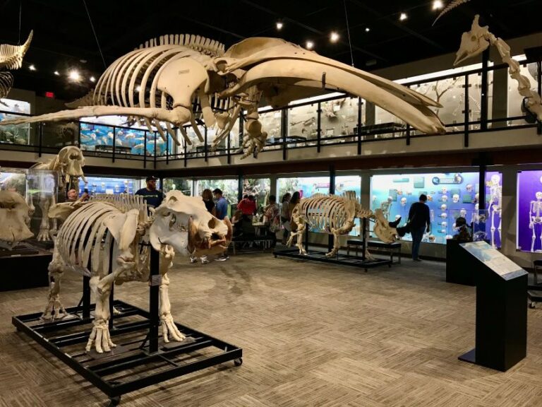 Oklahoma City: SKELETONS: Museum of Osteology Ticket