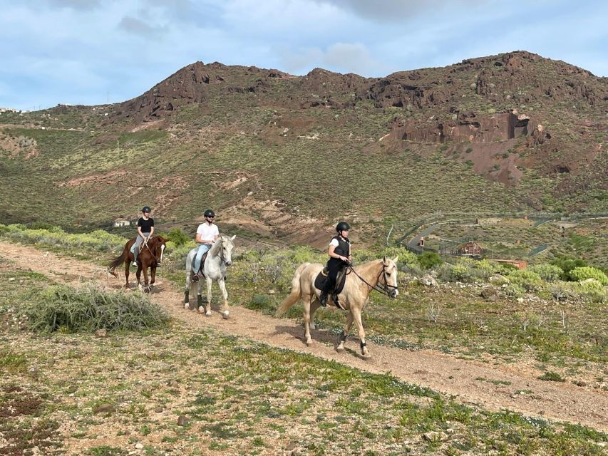 One Hour Horse Riding Tour in Gran Canaria