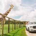 1 orlando drive thru safari park at wild florida Orlando: Drive-Thru Safari Park at Wild Florida