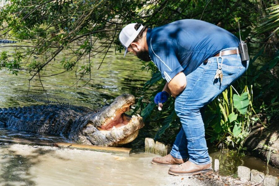 Orlando: Gatorland Skip-the-Line Ticket