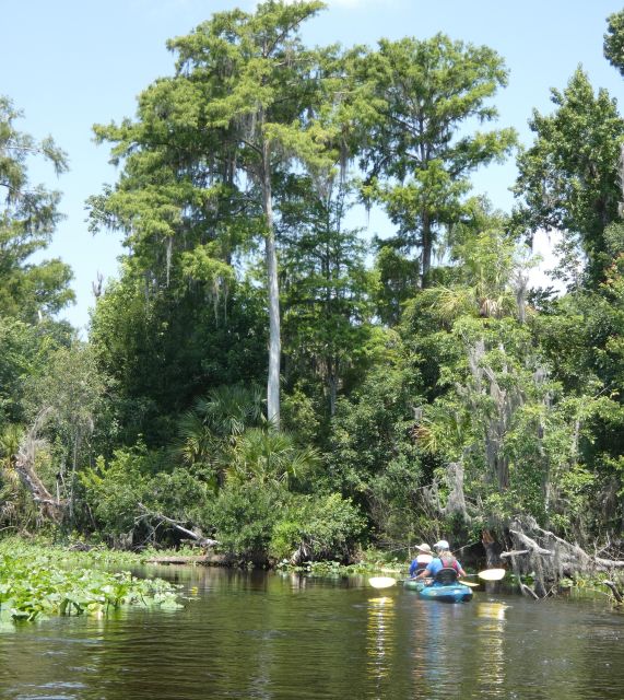 Orlando: Small Group Scenic Wekiva River Kayak Tour - Booking and Reservation Details