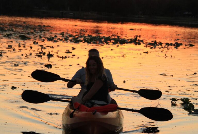 Orlando: Sunset Guided Kayaking Tour