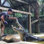 1 orlando wild florida park gator show animal encounters Orlando: Wild Florida Park, Gator Show & Animal Encounters