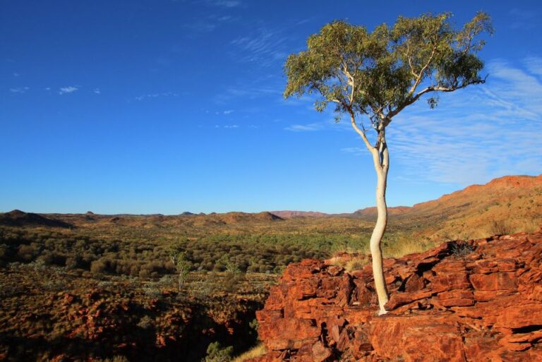 Outback Adventure: A Self-Guided Driving Tour