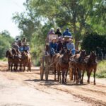1 outback queensland longreach storytelling holiday 3 day Outback Queensland: Longreach Storytelling Holiday - 3 Day