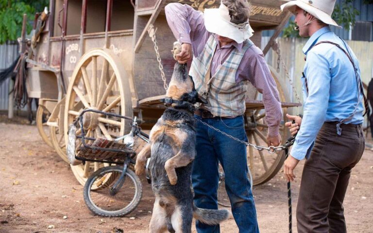 Outback Queensland: Unleashing Longreach Holiday 6-days