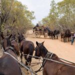 1 outback queensland weekender out west holiday 4 day Outback Queensland: Weekender Out West Holiday - 4 Day
