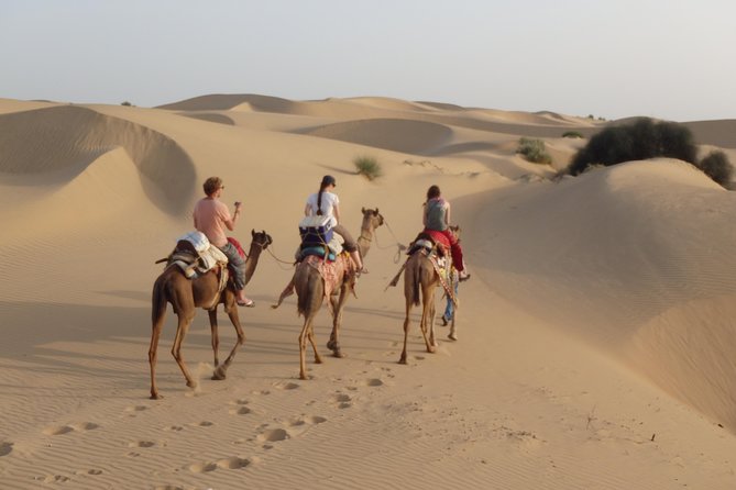 1 over night desert adventure camel safari Over Night Desert Adventure Camel Safari