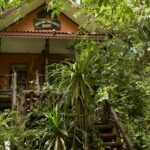 1 overnight packages at khaosok national park and cheowlan lake Overnight Packages at Khaosok National Park and Cheowlan Lake