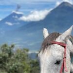1 pacaya volcano luxury horseback riding tour Pacaya Volcano Luxury Horseback Riding Tour