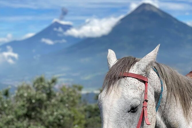 Pacaya Volcano Luxury Horseback Riding Tour
