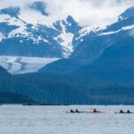 1 paddle with whales kayak adventure Paddle With Whales! Kayak Adventure