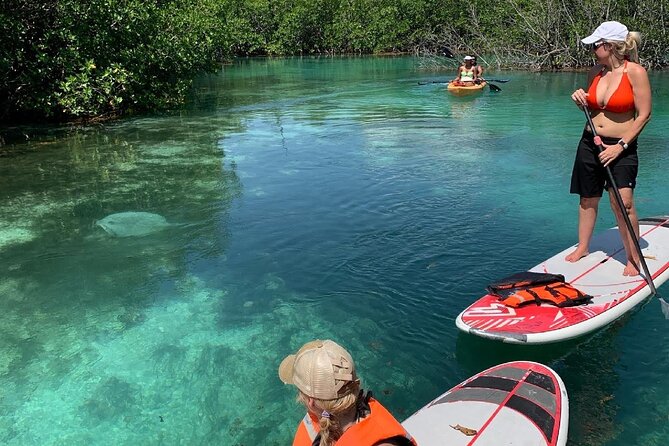 Paddleboard Kayak Tour in Cancun