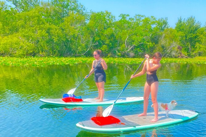 Paddleboarding With Dogs and Rabbits  – Orlando