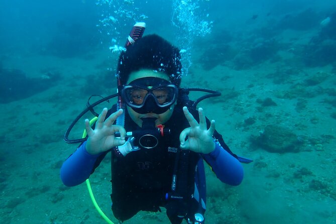PADI Open Water Diver Course @ Anilao Batangas