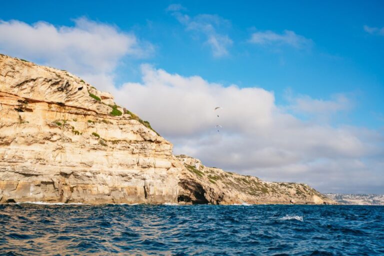 Palma Bay: 1-Hour Speedboat Adventure