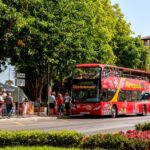 1 palma de mallorca city sightseeing hop on hop off bus tour Palma De Mallorca: City Sightseeing Hop-On Hop-Off Bus Tour