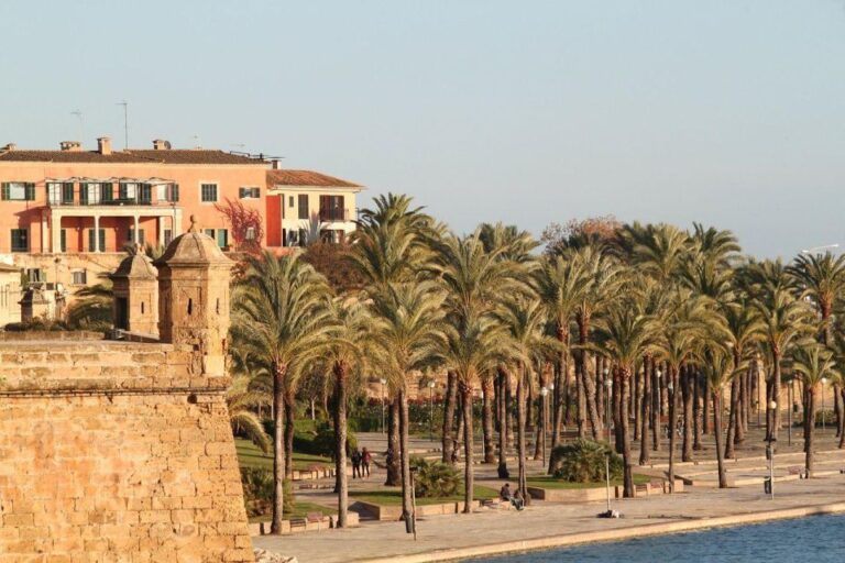 Palma De Mallorca Private Guided Walking Tour