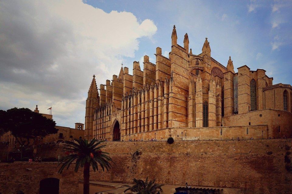 Palma De Mallorca Private Walking Tour With Tour Guide - Tour Guide Information